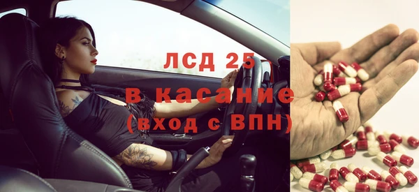 индика Алзамай