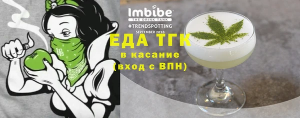 индика Алзамай