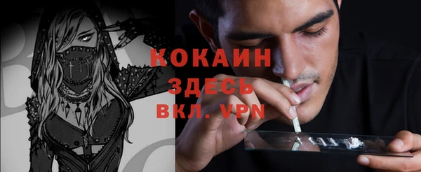 индика Алзамай
