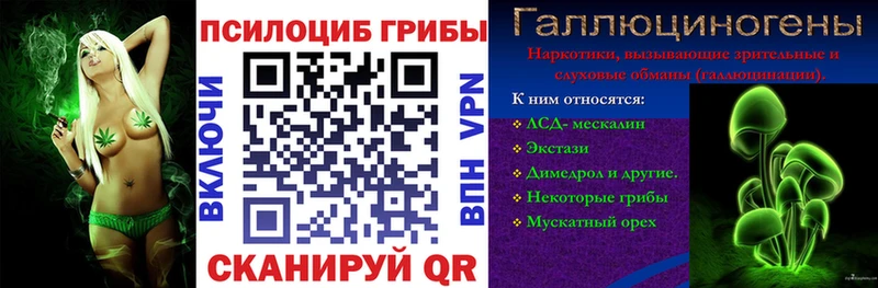 Псилоцибиновые грибы GOLDEN TEACHER  KRAKEN tor  Нытва  где найти  